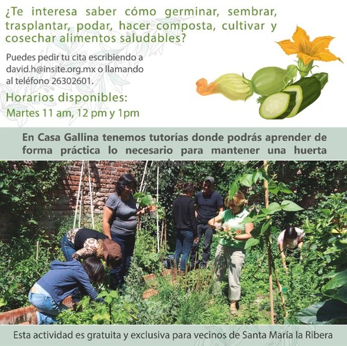Armando Volterrani, Mauricio Badillo y Javier Chapado: Aprendiendo la huerta, taller de introducción a la agricultura urbana