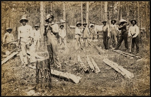 African American men chopping trees in Fort Valley, Georgia