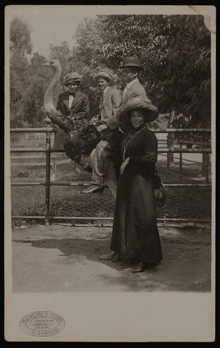 African Americans at Cawston Ostrich Farm, South Pasadena, California