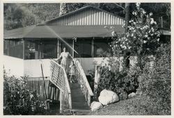Anderson family cabin