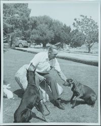 Rick Urlich and dogs in yard — Calisphere