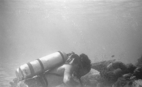 Diver in clear water