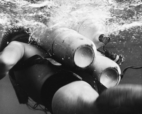 Diver during the Capricorn Expedition