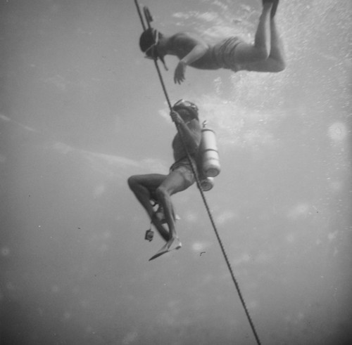 Divers Philip E. Jackson and Robert F. Dill follow a tow line at Alexa Bank, Samoa