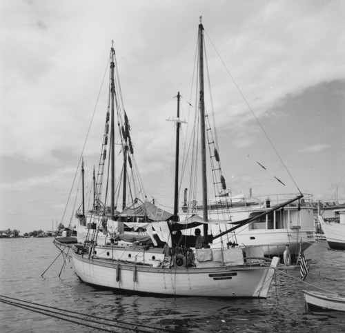 Tahitian harbor scene