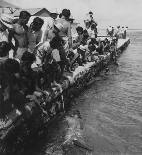 Native Takaroans and members of the Capricorn Expedition on the wharf watch pearl divers, as Willard N. Bascom prepares to dive