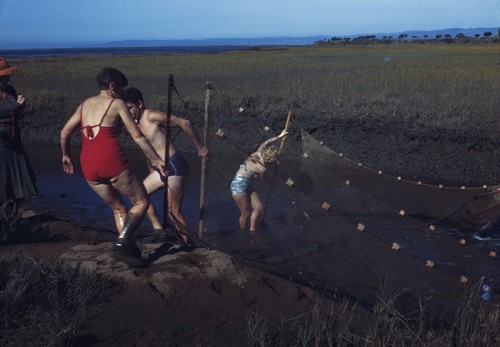 Carl L. Hubbs, Laura C. Hubbs, Mrs. Wylie and Elizabeth M. Kampa collecting fishes, Stand Estero de Punta, Baja California, Mexico
