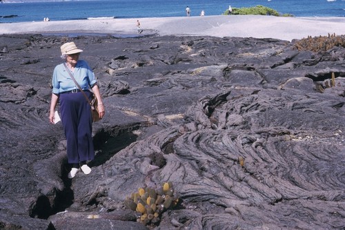 Laura C. Hubbs, Punta Espinosa, Isla Fernandina, Galápagos