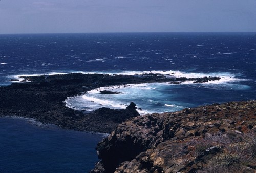 MV 70-IV - Guadalupe Island, reef at southwest end from terrace above weather station