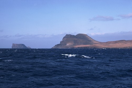 MV 70-IV - Guadalupe Island, Islote Zapato and Morro Sur