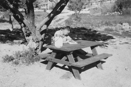 Carl L. Hubbs seated at table at Lehman Caves