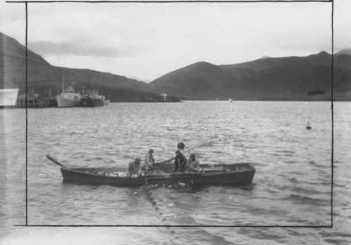 Herring fishing, Unalaska