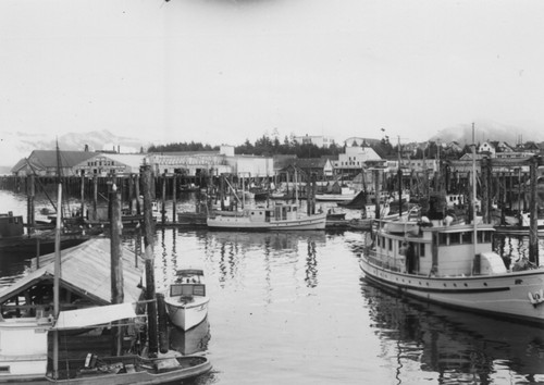 Ships Auklet and Bear in harbor at Petersburg, Alaska