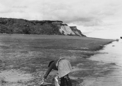 Inuit woman with salmon catch, Stakenet Snag Bay, Alaska