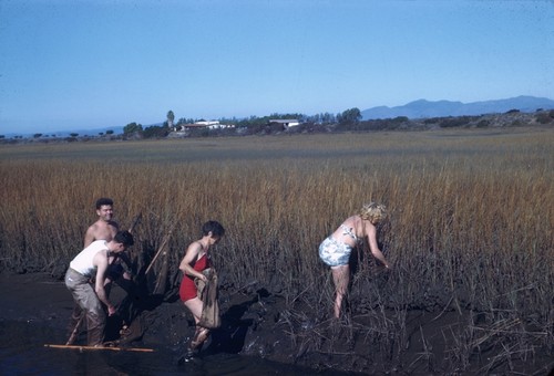 Carl I. Johnson, Carl L. Hubbs, Laura C. Hubbs, and Elizabeth M. Kampa collecting fishes, Punta Banda, Baja California, Mexico