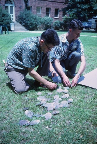 Carl L. Hubbs and unidentified man with Trinectes maculatus specimen on grass, Patuxent River, Maryland