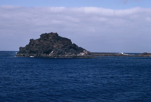 MV 70-IV - View of Roca Gaviota, Guadalupe Island, Mexico