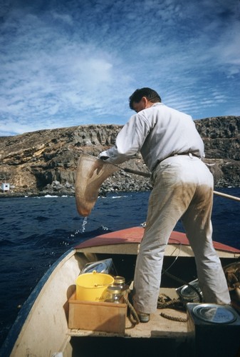 Carl L. Hubbs with dip net, Guadalupe Island, Mexico