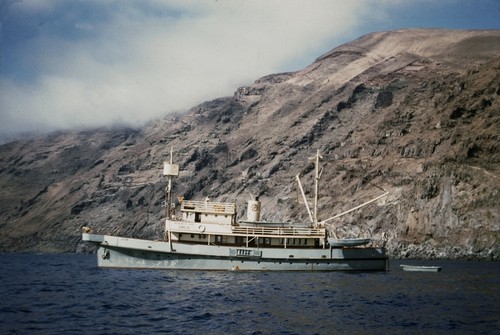 Research ship Orca, off Guadalupe Island, Mexico