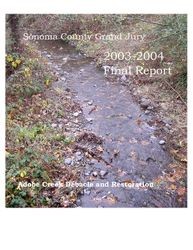 Sonoma County Grand Jury 2003-2004 final report and responses