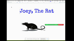 Joey, the rat