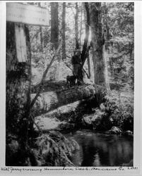 With Jerry crossing Hammerhorn Creek, Mendocino County