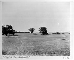 Valley of the Moon Country Club fairway, Sonoma, California, 1928