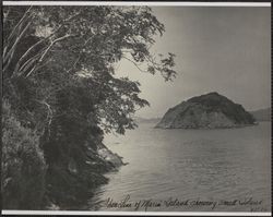 Shore line of Marin Island showing small island