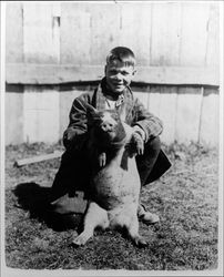 Boy with a pig at the Lytton Home (the Salvation Army Boys and Girls Industrial Home and Farm in Lytton, California), Lytton, California, 1921