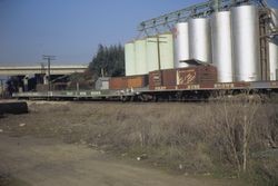 Foley & Burk Shows flatcars on tracks adjacent to Albers Milling Co. in Santa Rosa, Jan. 1972