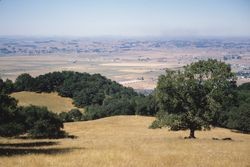 View of Santa Rosa Plain from Taylor Mountain, June 6, 1965