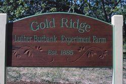 New Gold Ridge Experiment Farm sign, June 1991