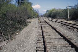 Santa Rosa & Petaluma Railroad tracks east of Sebastopol, March 1972