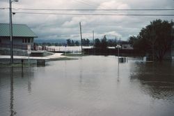 Flooded Laguna de Santa Rosa near the Sebastopol Community Center on Morris Street, Sebastopol, California, Feb. 1997