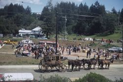 John Jenkel's stage coach in Occidental, California's U.S. Bicentennial celebration, May 1975