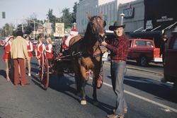 Hal Skinner driving Santa on North Main Street, Sebastopol, Nov. 26, 1976