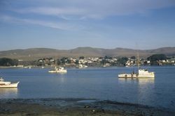 Bodega Bay from West Road, Dec. 1965