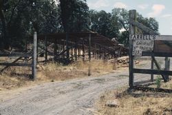 Chicken house partially demolished at the corner of Jewell and Leland Avenues in Sebastopol, Calif., Aug. 1978