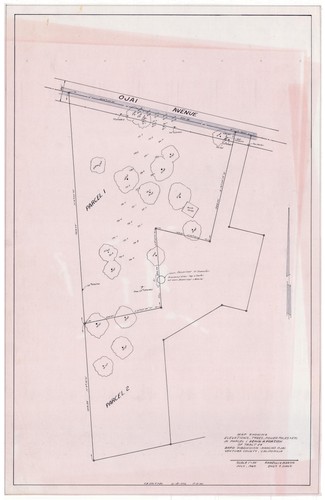 Map of Elevations, Trees, and Power Poles in Parcel 1, Portion of Tract 24, Bard Subdivision, Rancho Ojai