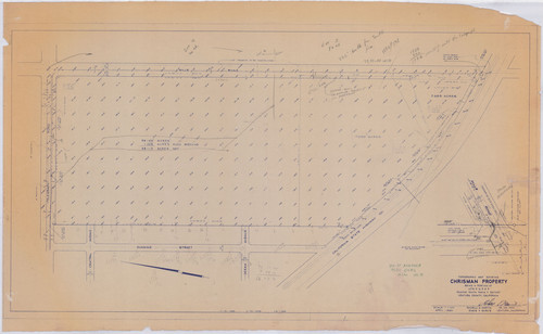 Topographic Map of the Chrisman Property, Rancho Santa Paula y Saticoy