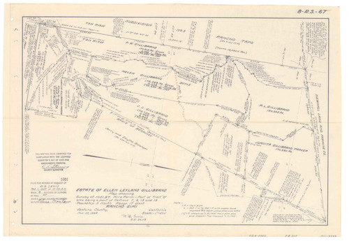 Survey of Estate of Ellen Leyland Gillibrand, Rancho Simi