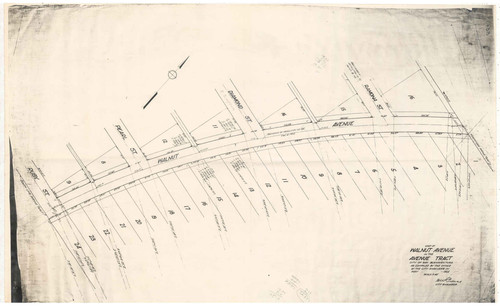 Map of Walnut Avenue in the Avenue Tract, Ventura