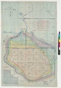 Contour map of Buena Vista Lake