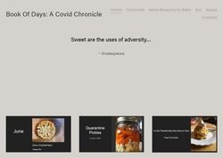 Book of Days : A Covid Chronicle