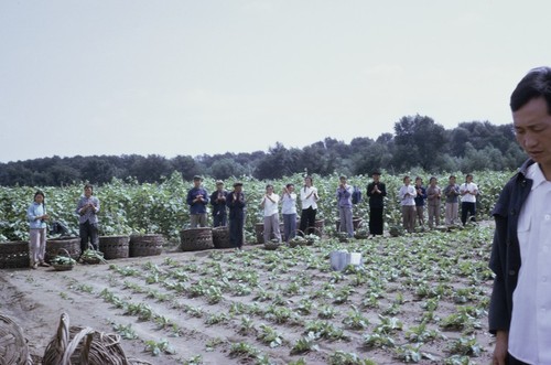 Wusan People's Commune workers (1 of 2)