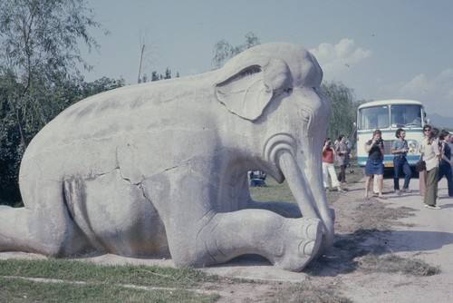 Ming Tombs Sacred Way, stone elephant (2 of 2)