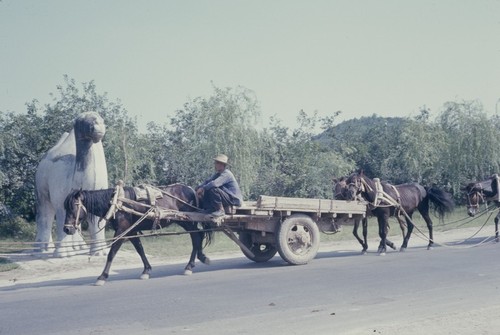 Ming Tombs Sacred Way, horse cart (1 of 2)