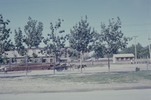 Horse cart on the Street