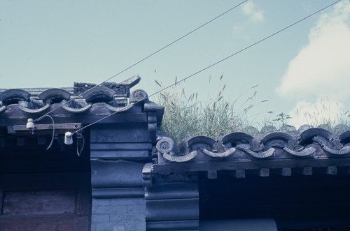 Chinese roof tiles