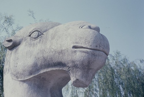 Ming Tombs Sacred Way, stone camel